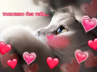 🥺