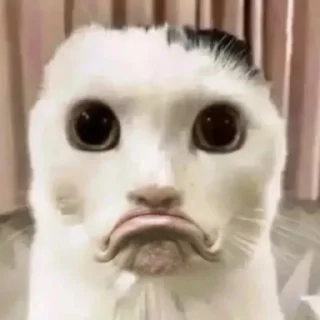 ☃️