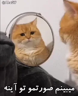 😞