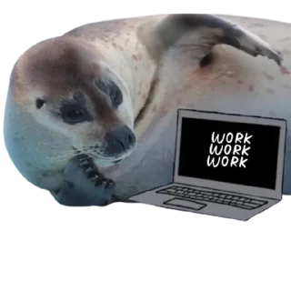👨‍💻