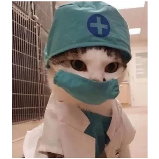🏥