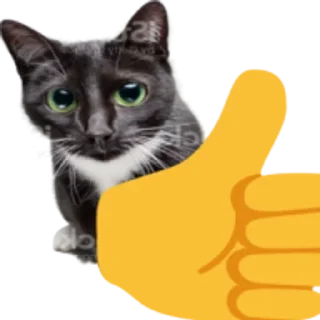👍