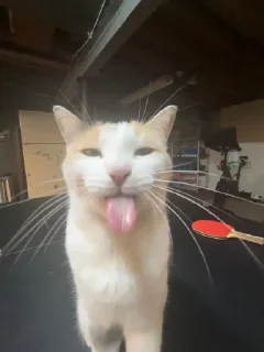 😛