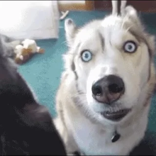 😯