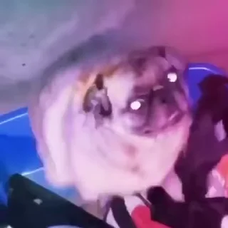 🕺