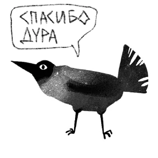 🐦‍⬛