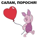 🐷