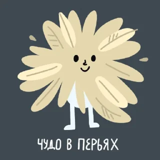 👍