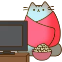 📺