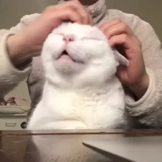 😩