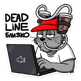 💻