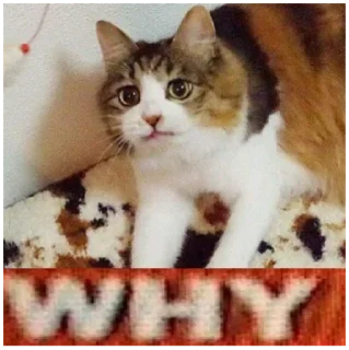 🤯
