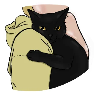 🐈‍⬛