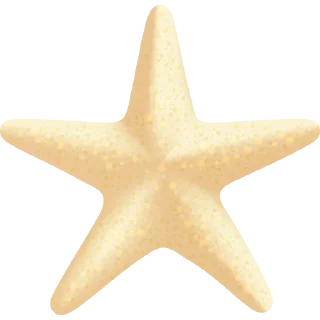 ⭐️