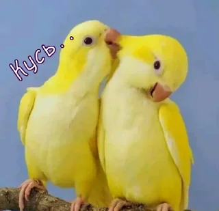 🥰