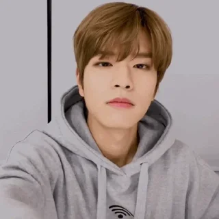 🐶