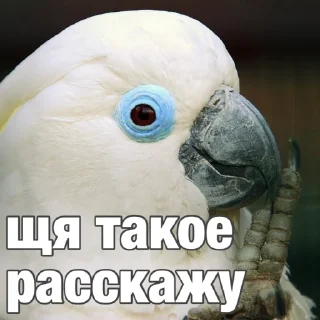 😳