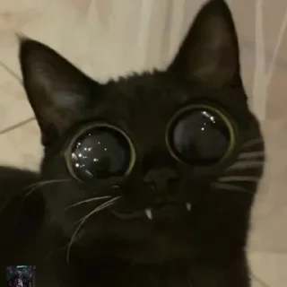 🥹