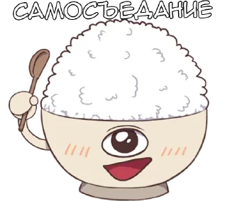 🍚