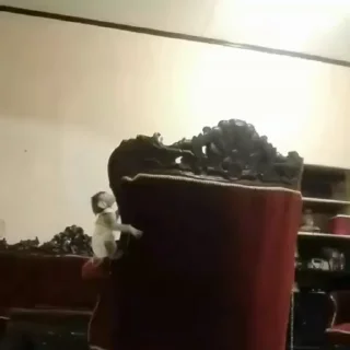 👻