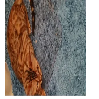 🥴