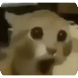 😮
