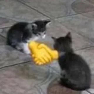 🤝