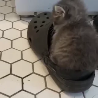 🥺