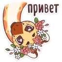Кокосик :: @TgSticker