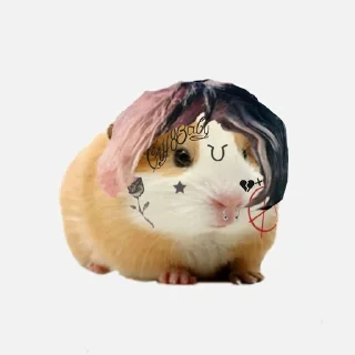 🐹