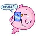 Cute bird @kurumichiii