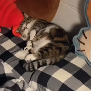 😴