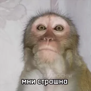 😏
