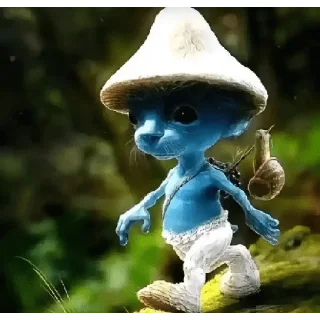 🐱