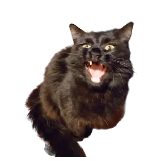 👹