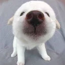 😍