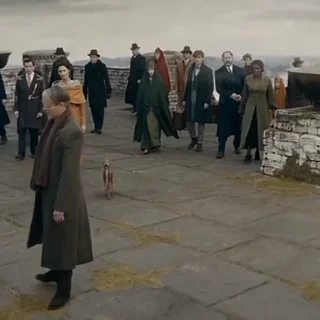 🎬