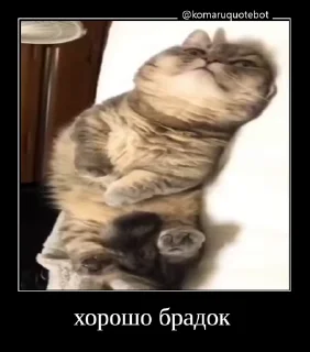 😉