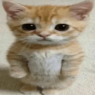 🙁