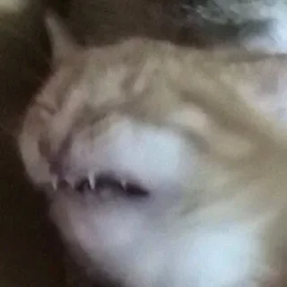 😫