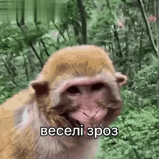😃