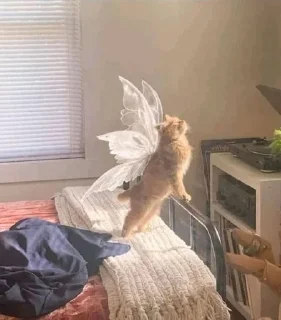 🧚‍♀