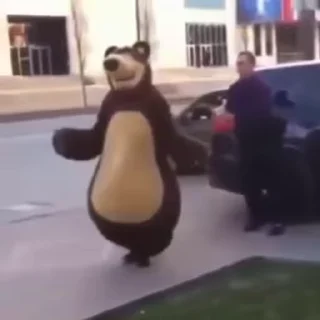 🐻