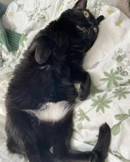 🛏️