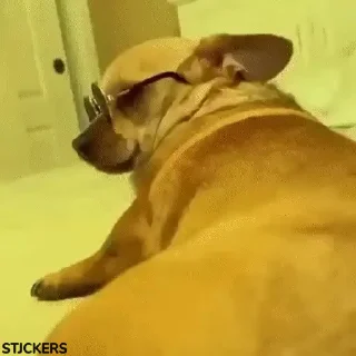 🥳