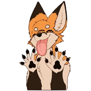 🦊