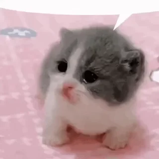 🥹