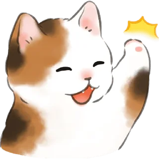 ✋