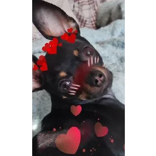 ❤️