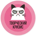 😿